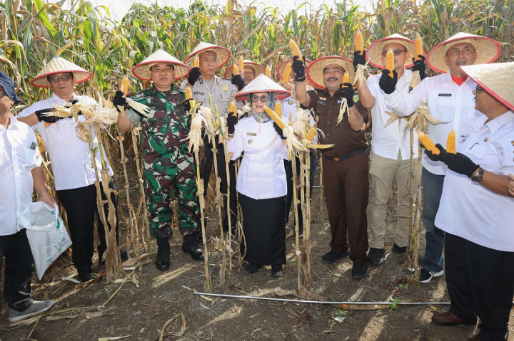Pemerintah Kota (Pemko) Pematangsiantar Sumatra Utara melalui Dinas Ketahanan Pangan dan Pertanian menargetkan perluasan tanam baru lahan jagung seluas 1.214 hektare pada tahun 2024. Target tersebut meningkat dari tahun sebelumnya yaitu 1.196 hektare.
