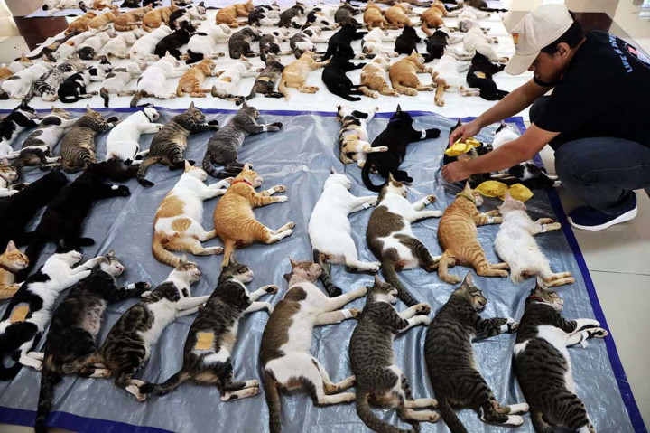 Untuk mendapatkan sterilisasi gratis, warga dapat mendaftar dengan cara mengisi secara online yang dibuka secara bertahap di wilayah kecamatan masing-masing. 