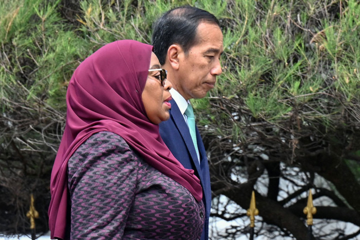 Presiden Joko Widodo (Jokowi) menerima kunjungan Presiden Republik Persatuan Tanzania Samia Suhulu Hassan di Istana Kepresidenan Bogor, Jawa Barat, Kamis, 25 Januari 2024.