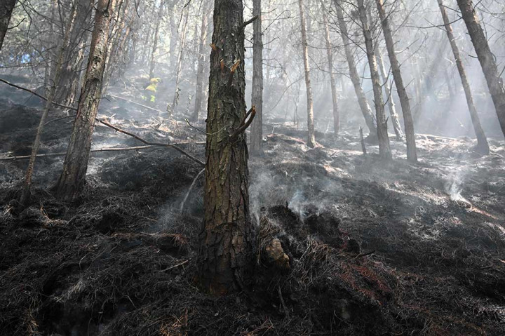 “Hari ini, terjadi kebakaran di Nevada del Cocuy, sebuah taman alam dengan puncak tertutup salju sekitar 250 kilometer (155 mil) timur laut Bogota,