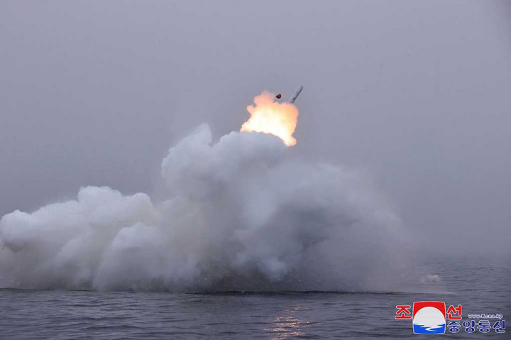 Pulhwasal-3-31 adalah generasi baru rudal jelajah strategis yang menurut Pyongyang baru diuji pertama kali pada hari Rabu, menembakkan beberapa rudal ke arah Laut Kuning.