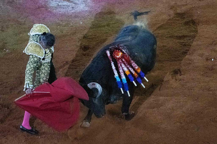 Tertulis di tanah Monumental Plaza de Toros di Meksiko, stadion adu banteng terbesar di dunia, dengan kapasitas tempat duduk lebih dari 41.000 orang, terdapat kalimat: 'Kebebasan. Banteng, budaya yang hidup.'