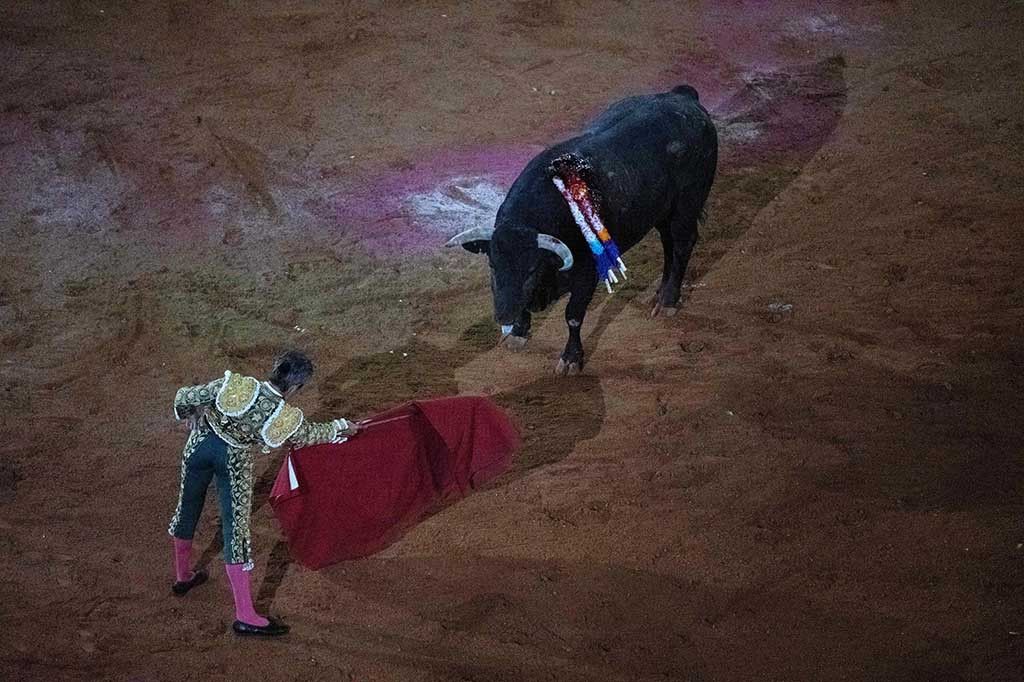 Penonton yang bersorak memenuhi arena adu banteng besar-besaran di Mexico City pada hari Minggu, 28 Januari 2024, menyaksikan pertunjukan berdarah pertama di ibu kota tersebut sejak Mahkamah Agung bulan lalu membatalkan skorsing sebelumnya, ketika pengunjuk rasa di luar stadion menuntut larangan permanen.