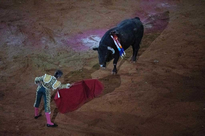 Penonton yang bersorak memenuhi arena adu banteng besar-besaran di Mexico City pada hari Minggu, 28 Januari 2024, menyaksikan pertunjukan berdarah pertama di ibu kota tersebut sejak Mahkamah Agung bulan lalu membatalkan skorsing sebelumnya, ketika pengunjuk rasa di luar stadion menuntut larangan permanen.