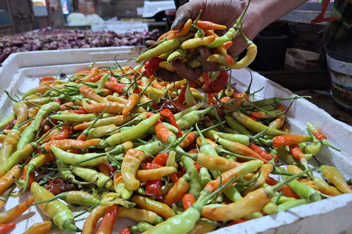 Beni, 35, salah seorang pedagang di Pasar Wage Purwokerto, mengatakan, sehari sebelumnya, yakni Minggu, 28 Januari 2024 ia masih menjual cabai rawit merah di kisaran harga Rp23 ribu per kg dan cabai rawit hijau Rp18 ribu per kg secara grosir pada para pedagang kecil. Namun mulai Senin Pagi, harga cabai rawit merah sudah ia pasarkan dengan harga Rp31 ribu per kg dan cabai rawit hijau Rp24 ribu per kg. Sedangkan cabai keriting merah cenderung turun dari semula Rp52 ribu per kg menjadi Rp44 ribu per kg.