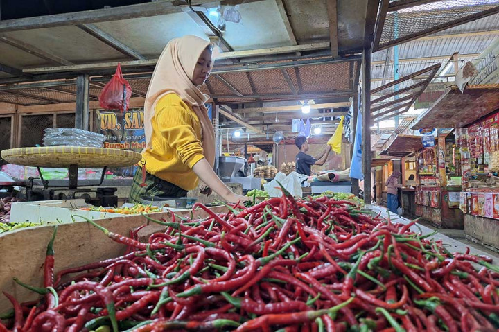 Mendekati momentum Pemilihan Umum (Pemilu) tahun 2024 yang akan jatuh pada 14 Februari mendatang, harga cabai di daerah Purwokerto, Jawa Tengah naik significant. Kenaikan harga terpantau di ksiaran Rp6.000 per kg untuk cabai rawit merah dan Rp4 ribu untuk cabai rawit hijau. Kenaikan harga mengikuti kenaikan harga cabai di Jakarta.
