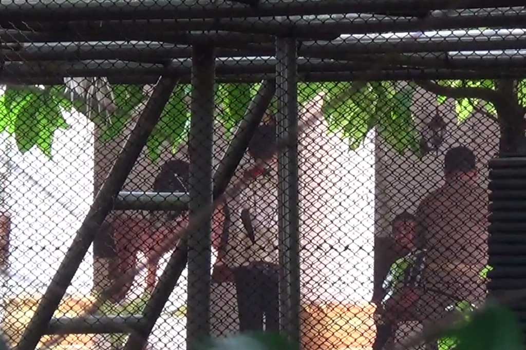 Pemeriksaan KPK ini merupakan pengembangan OTT KPK terhadap pegawai BPPD Sidoarjo pada 25 Januari lalu. OTT ini terkait pemotongan insentif ASN di lingkungan BPPD Sidoarjo.