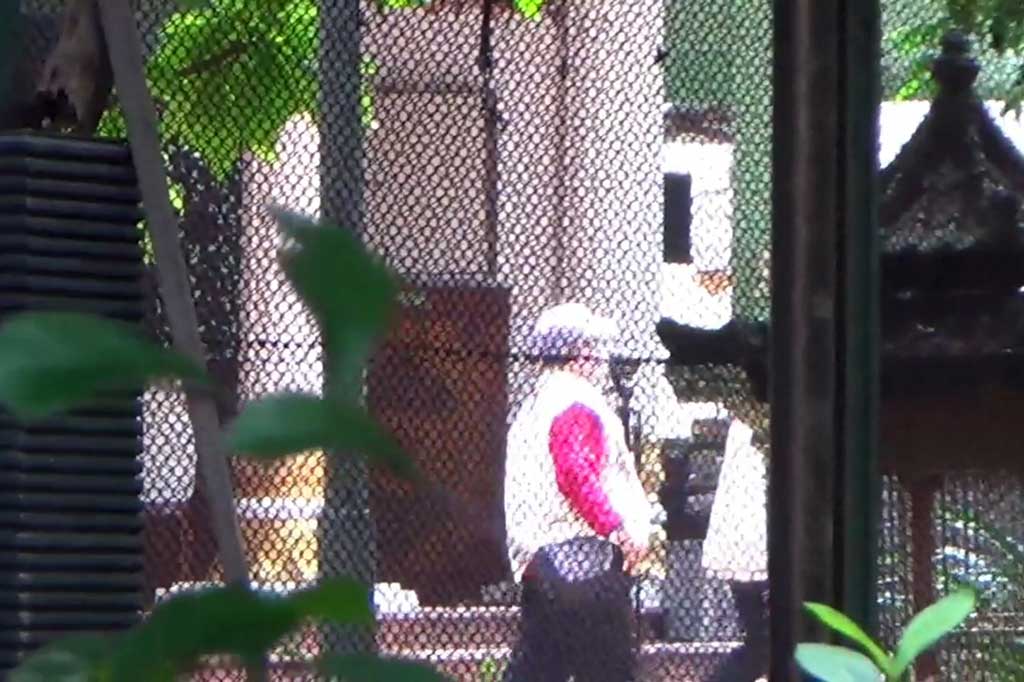 Pemeriksaan tim penyidik KPK ini dilakukan di rumah dinas bupati yang berada di lingkungan Pendopo Delta Wibawa. Saat pemeriksaan KPK ada Bupati Sidoarjo Ahmad Muhdlor di dalam kawasan pendopo. 