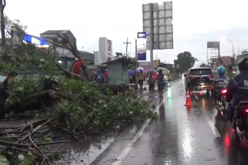Sebuah minibus rusak parah akibat tertimpa pohon yang tumbang dihempas angin kencang saat hujan mengguyur Kabupaten Jombang, Jawa Timur, Rabu, 31 Desember 2024. Bahkan kencangnya angin juga sempat memporak-porandakan sebuah bangunan warung. Meski demikian tidak ada korban dalam peristiwa tersebut.