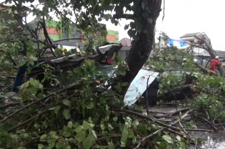 Minibus yang rusak tertimpa pohon besar ini berada di Desa Perak, Kecamatan Perak, Kabupaten Jombang. Pohon besar ini tumbang usai tak kuat terhempas kencangnya angin saat hujan deras melanda.