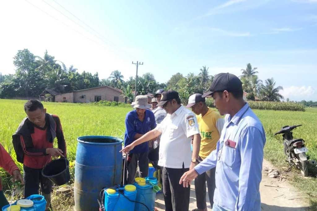 Untuk melindungi tanaman dari hama sekaligus untuk meningkatkan produktivitas pertanian di Kabupaten Serdang Bedagai (Sergai), Petugas Penyuluh Lapangan (PPL) Dinas Pertanian Sergai memberikan penyuluhan tentang pengamatan dan pengendalian hama, khususnya gerakan pengendalian hama wereng batang coklat, dengan menggunakan insektisida Applaud kepada kelompok tani (Poktan) Harapan Maju, Desa Pulau Tagor Kecamatan Serbajadi Kabupaten Sergai.