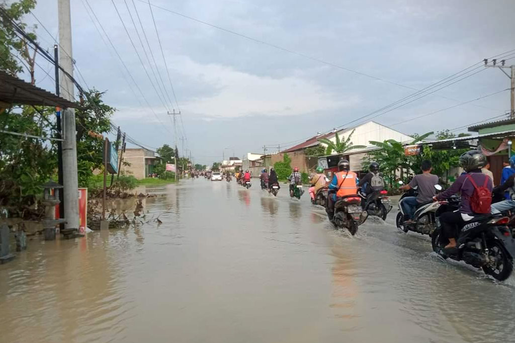 Kepala Badan Penanggungan Bencana Daerah (BPBD) Kabupaten Grobogan Endang Sulistyoningsih mengatakan banjir diakibatkan meluapnya tiga sungai yakni Lusi, Serang dan Tuntang serta jebolnya tanggul Sungai Jragung menjadikan 29 desa di 11 kecamatan terendam banjir dengan ketinggian air 0,5-1,3 meter.