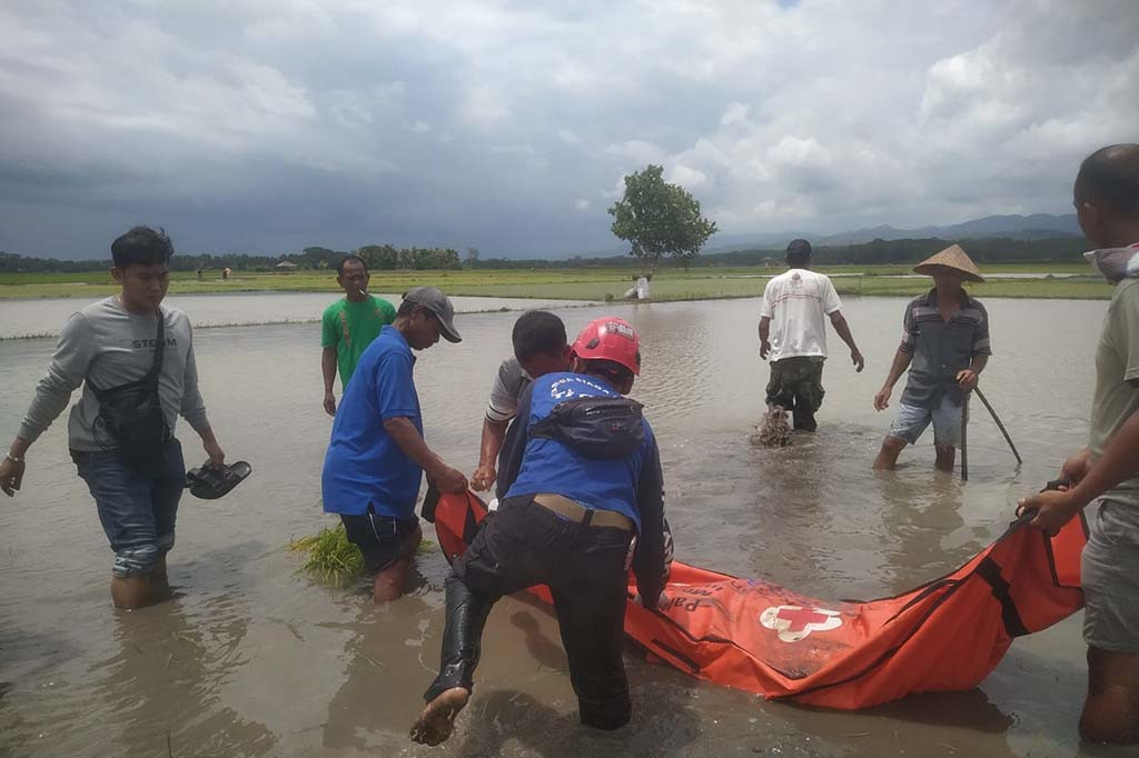 Ketua FK Taruna Siaga Bencana (Tagana) Kabupaten Pangandaran, Nana Suryana mengatakan, hujan deras disertai angin puting beliung dan petir yang melanda Pangandaran sejak malam hingga sekarang menyebabkan sejumlah rumah rusak berat tertimpa pohon. Namun, proses evakuasi pohon tumbang telah dilakukan tim gabungan dari TNI, BPBD, Polri, Tagana sejak malam hingga pagi.