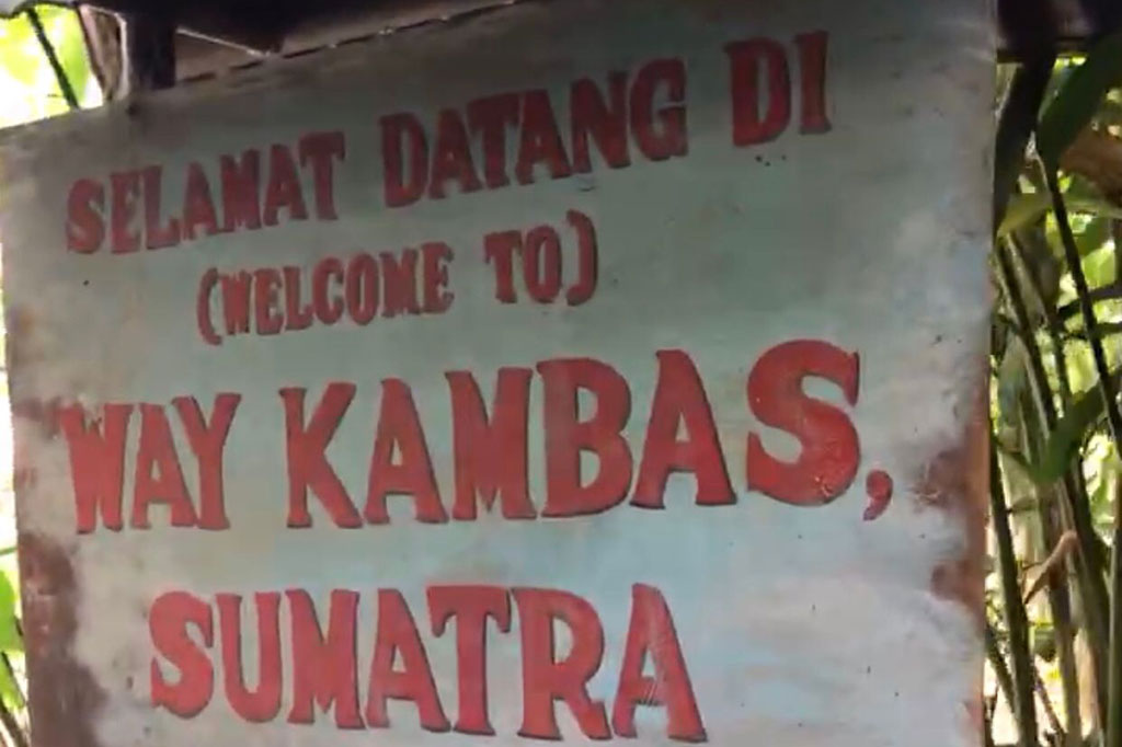 Ditambah Taronga memiliki kelebihan lain. Mereka memiliki satu tempat penuh yang menyerupai bentuk pemukiman asli Indonesia. Fasilitas ini dibuat sedemikian rupa seperti di Taman Nasional Way Kambas, Sumatra dan pengunjung bisa melihat koleksi harimaunya.