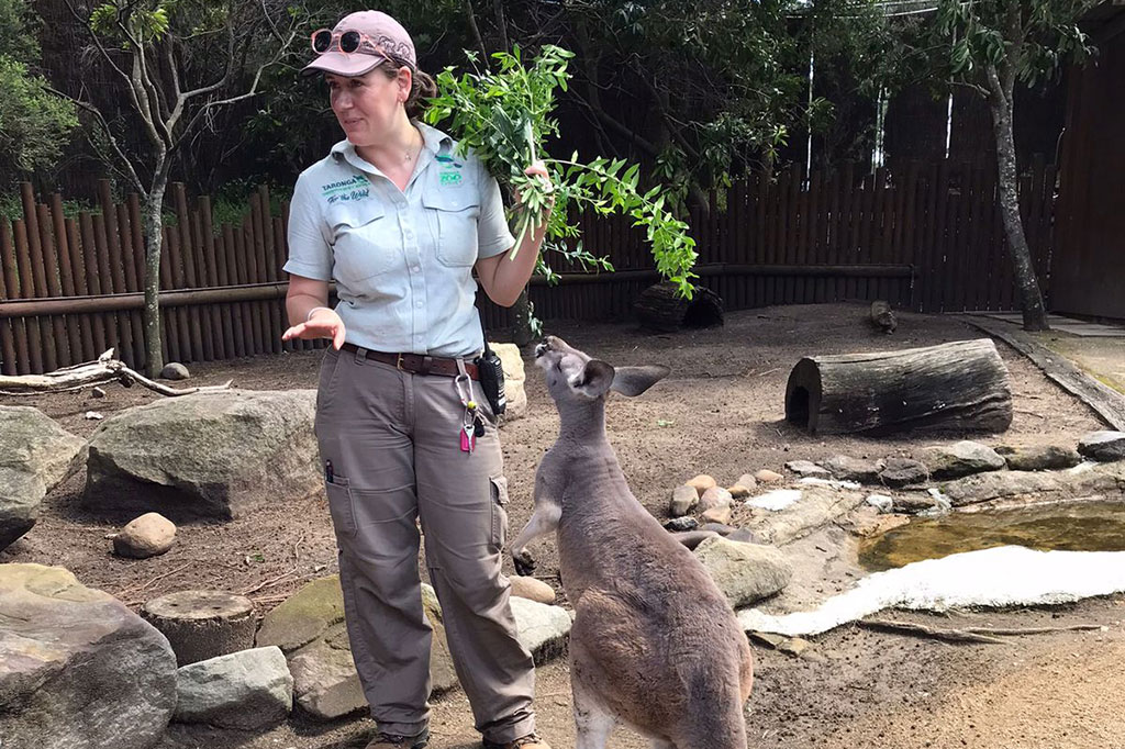 Namun, binatang-binatang Australia juga sangat menarik untuk dilihat, seperti kanguru, koala, hingga dingo.
