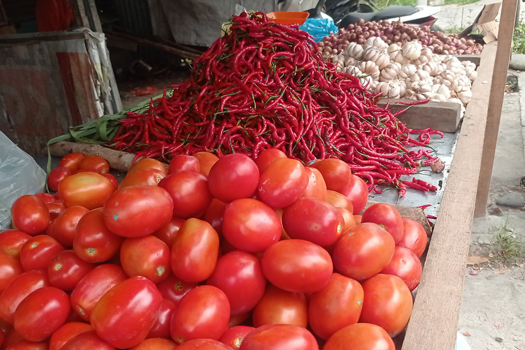 Saat ini saja harga daging ayam broiler sudah Rp37.000 per kilogram yang biasanya hanya Rp24.000-Rp25.000 per kilogram. Pun demikian juga halnya dengan harga cabai rawit hijau terus naik Rp55.000 per kilogram yang biasanya dijual para pedagang Rp35.000 per kilogram.