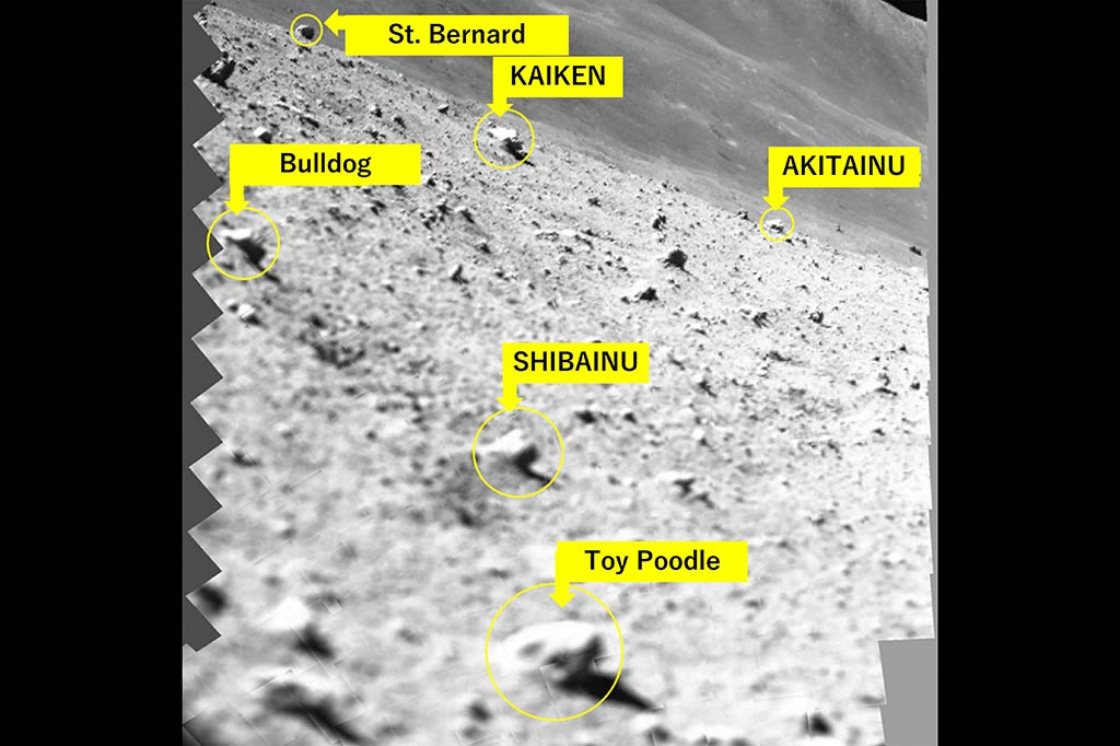 Ia tertidur lagi saat kegelapan kembali dan, karena tidak dirancang untuk malam bulan yang keras, JAXA tidak yakin apakah ia akan terbangun kembali.