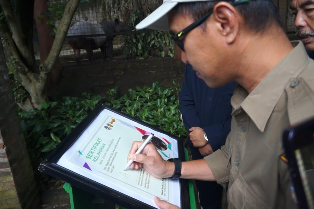 Sebagai bentuk rasa syukur dan bahagia karena bertambahnya anggota dari Bandung Zoo, dari Hewan Tapir yang induknya bernama Tinuk barteran dari Taman Safari Bogor dan Tapir jantannya bernama Marsel, yang asli dari Kebun Binatang Bandung. Tinuk melahirkan seekor anak Tapir berjenis kelamin jantan pada Minggu, 21 Januari 2024 pukul 05.30 WIB lalu. Dan anak Tapir tersebut diberi nama Arya, oleh Kepala Balai Besar Konservasi Sumber Daya Alam (BBKSDA) Jabar Irawan Asaad di Kebun Binatang Bandung pada Senin, 27 Februari 2024.
