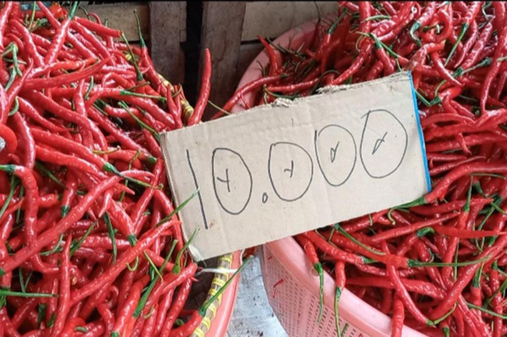 Berdasarkan pantauan di Pasar Kite Sungailiat Bangka Harga cabai rawit baik lokal maupun luar dijual pedagang Rp120 ribu perkilo. Begitu pula dengan cabai besar kriting Rp90 ribu perkilo.