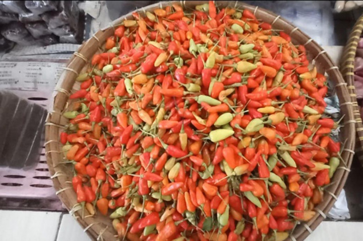 Mendekati puasa, harga cabai-capaian di Pasar tradisional Sungailiat Bangka, Provinsi Bangka Belitung (Babel) masih tinggi.