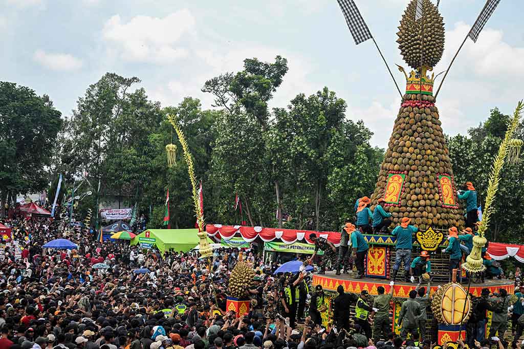 Sejumlah warga harus dilarikan ke posko kesehatan setelah mengalami luka-luka saat berebut ribuan durian Wonosalam, di Kabupaten Jombang, Jawa Timur, Minggu, 3 Maret 2024. Rebutan durian ini digelar dalam rangka tradisi syukuran petani lereng gunung Anjasmoro.