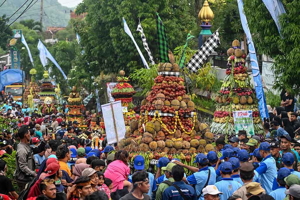 Sebelum dijadikan rebutan, ribuan buah durian khas wonosalam ini sempat diarak keliling kampung dengan diiringi tarian seni tradisional. 