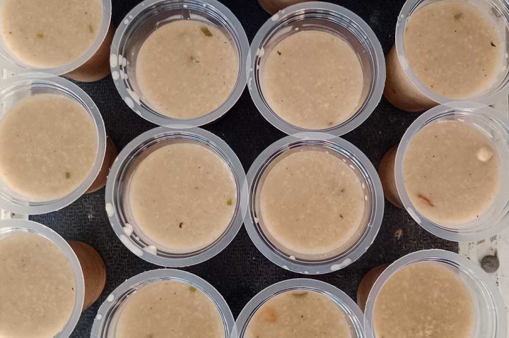 Amatan Media Indonesia, dari hari pertama puasa pada Selasa, 12 Maret 2024 hingga Rabu, 13 Maret 2024, di Banda Aceh, Menu berbuka itu antara lain disediakan di Masjid Raya Baiturrahman dan Masjid A-Makmur Oman, Lapriet, Kecamatan Syiah Syi'ah Kuala. Lalu di M Asjid Jamik Universitas Syi'ah Kuala Komplek Universitas Syiah Kuala (USK).