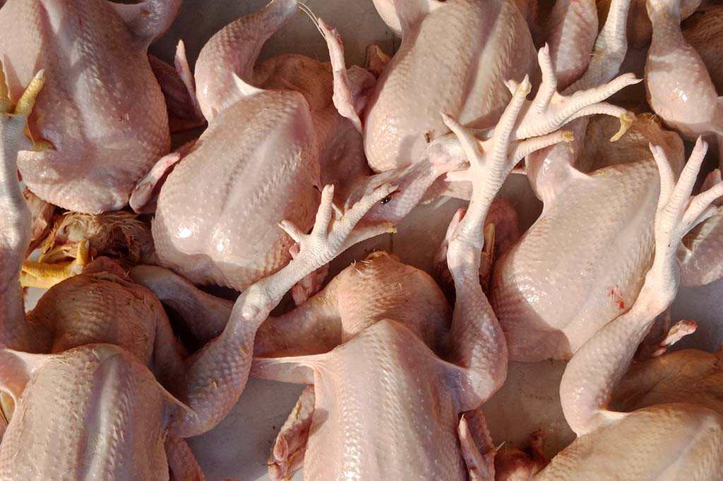 Kenaikan luar biasa itu juga terjadi di Pasar Meureudu, Kabupaten Pidie Jaya dan Pasar Bireuen Kabupaten Bireuen. Hal serupa juga tidak kalah di pasar Lambaro Kabupaten Aceh Besar dan Banda Aceh Ibukota Provinsi Aceh.