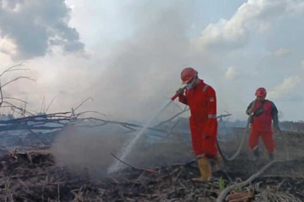 Komandan Manggala Agni Daops Pekanbaru Chaerul Parsaulian Ginting kepada Media Indonesia mengatakan kebakaran diduga terjadi akibat cuaca panas yang telah berlangsung selama sepekan terakhir.