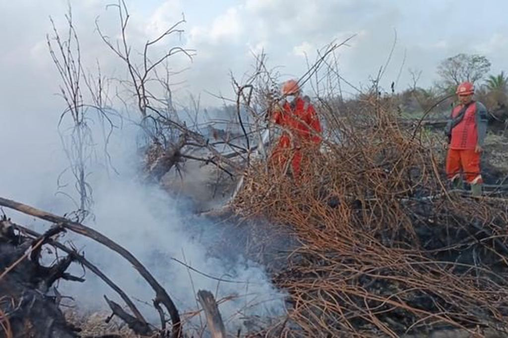 Ia mengakui memang kondisi cuaca yang cukup panas di Riau menyebabkan karhutla kembali terjadi. Hal itu juga seiring dengan peningkatan jumlah titik panas yang terpantau oleh satelit.