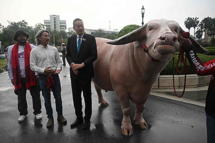 Srettha -- yang tingginya 1,92 meter -- bertatap muka dengan selebriti bertanduk itu di depan Gedung Pemerintah.