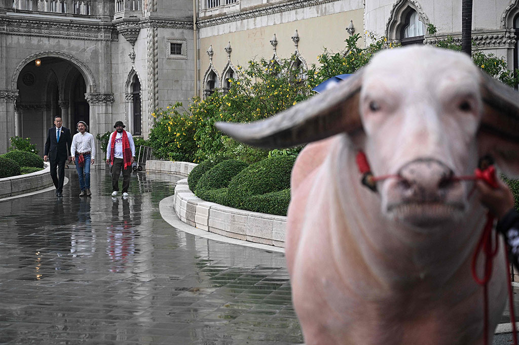 “Saya tidak menyangka kita punya kerbau secantik ini,” kata Srettha kepada wartawan yang berkumpul, sambil dengan hati-hati menepuk salah satu tanduk besar makhluk itu yang melengkung. 