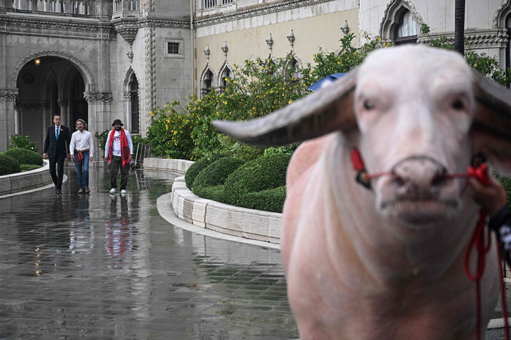 “Saya tidak menyangka kita punya kerbau secantik ini,” kata Srettha kepada wartawan yang berkumpul, sambil dengan hati-hati menepuk salah satu tanduk besar makhluk itu yang melengkung. 