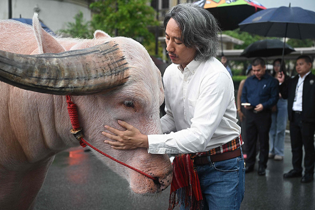 Dalam sebuah postingan di X, sebelumnya Twitter, Srettha mengatakan Asosiasi Peternakan Kerbau Thailand telah meminta pemerintah untuk mempromosikan hewan tersebut sebagai alat soft power.
