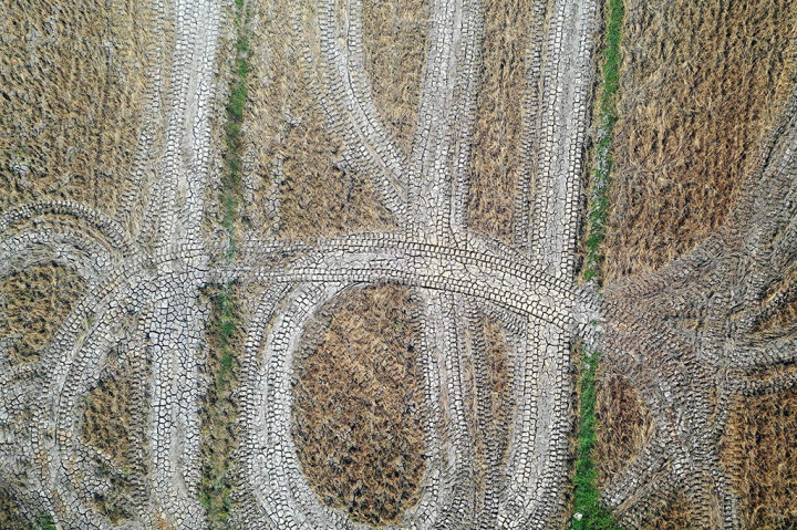 “Sungguh sia-sia meninggalkan sawah kosong seperti ini karena kami tidak punya air bersih. Saya harus beralih beternak sapi,” kata Thuong, petani berusia 31 tahun, kepada AFP dari desanya yang panas terbakar, tempat tanah seharusnya berada. Sawah basah subur berdiri pecah-pecah dan kering.