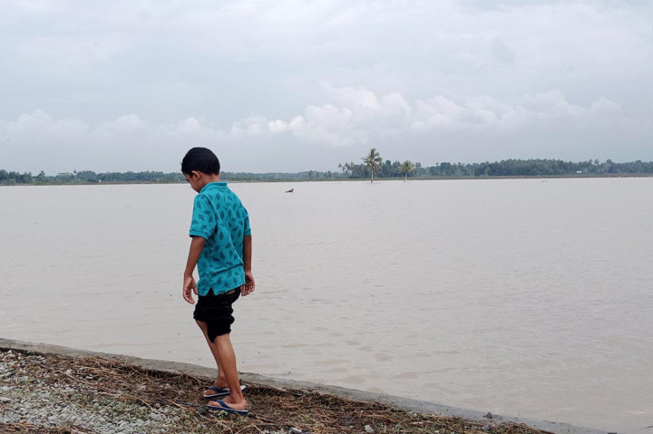Setelah diguyur hujan dan terendam banjir pada Rabu, 20 Maret 2024, lahan sawah yang hendak ditanami palawija di kawasan Kabupaten Pidie, Provinsi Aceh terancam gagal tanam. Pasalnya lahan yang sedang olah tanah untuk pembuatan bedeng menanam itu telah terendam bercampur lumpur.