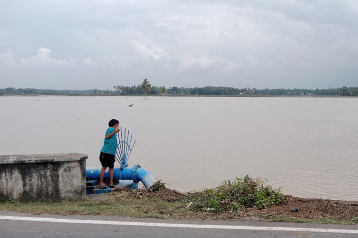 Padahal menanam palawija di kawasan setempat merupakan pengganti atau beralih dari menanam padi musim gadu (musim tanam kedua). Itu untuk menghindari fenomena El Nino yang diperkirakan akan melanda beberapa bulan ke depan.