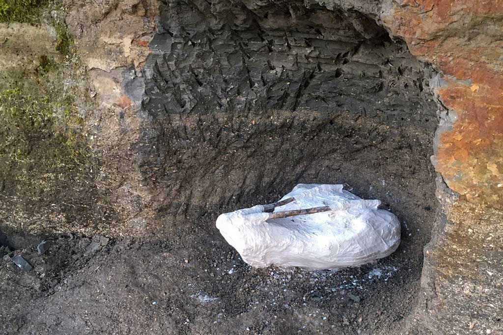 Mengingat spesies lumba-lumba bernama Pebanista yacuruna yang ditemukannya pada 2018, Benites-Palomino mengaku pekerjaannya terganggu akibat epidemi COVID-19.