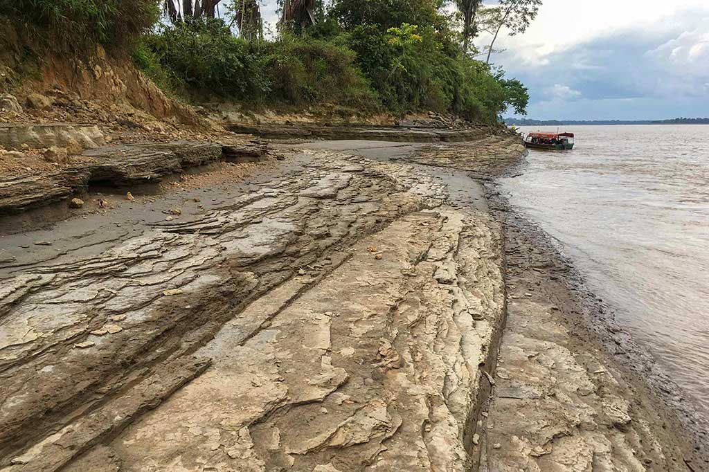 Menurutnya, spesies lumba-lumba sungai tersebut diyakini telah meninggalkan perairan untuk menemukan sumber makanan baru di sungai air tawar. Penelitian tersebut dimuat di jurnal tinjauan sejawat Science Advances.