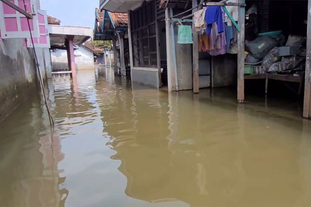 Banjir yang merendam wilayah Pati, Jawa Tengah, benar-benar membuat para korban banjir, merana. Pasalnya selain merendam rumah warga, tempat usaha warga juga tergenang, sehingga membuat warga merugi.