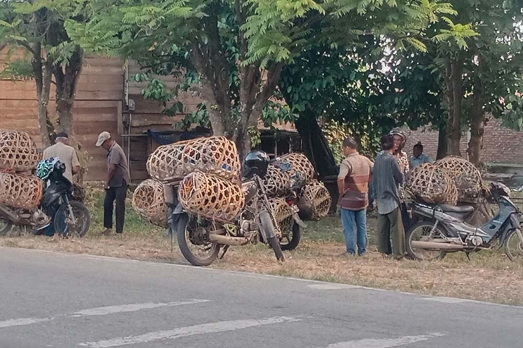 Geliat ekonomi di kawasan Kabupaten Pidie, Provinsi Aceh sedang tidak menggembirakan. Selain dari pendapatan petani berkurang karena hasil hasil produksi gabah menurun juga sangat terasa di sektor pasar bahan pokok dan usaha menengah keatas masyarakat.