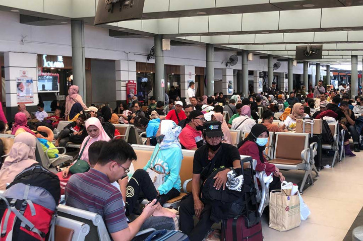 Demografi pemudik juga sangat beragam. Laki-laki dan perempuan mulai dari bayi, anak-anak, remaja, orang tua, hingga lanjut usia terpantau hendak mudik.