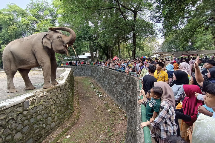 Cuaca di Ragunan terpantau cerah. Jumlah pengunjung diyakini akan terus bertambah.