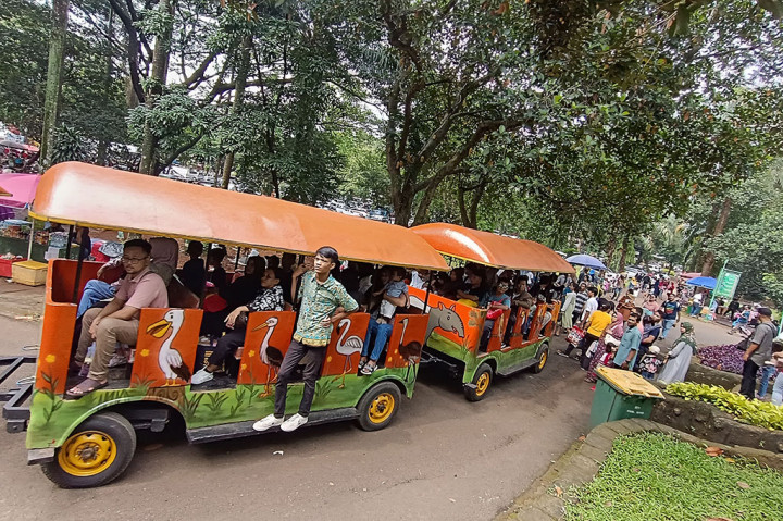 Pasalnya, kebun binatang Ragunan ini dibuka pukul 07.00 hingga 17.00 WIB. Bambang mengaku akan memberikan data pengunjung terbaru per jam. 