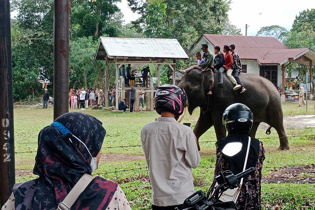 Bukan saja melihat gajah diajari aktifitas layaknya manusia, tapi pemudik juga diperbolehkan menungganginya. Selain boleh perorangan juga dipersilahkan menaiki sekeluarga dan anak-anak diatas punggung Po Meurah (sebutan lokal) itu.
