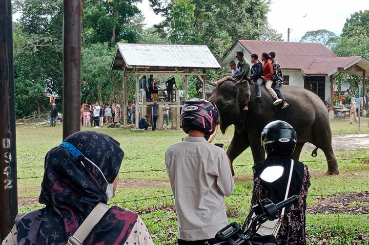 Bukan saja melihat gajah diajari aktifitas layaknya manusia, tapi pemudik juga diperbolehkan menungganginya. Selain boleh perorangan juga dipersilahkan menaiki sekeluarga dan anak-anak diatas punggung Po Meurah (sebutan lokal) itu.
