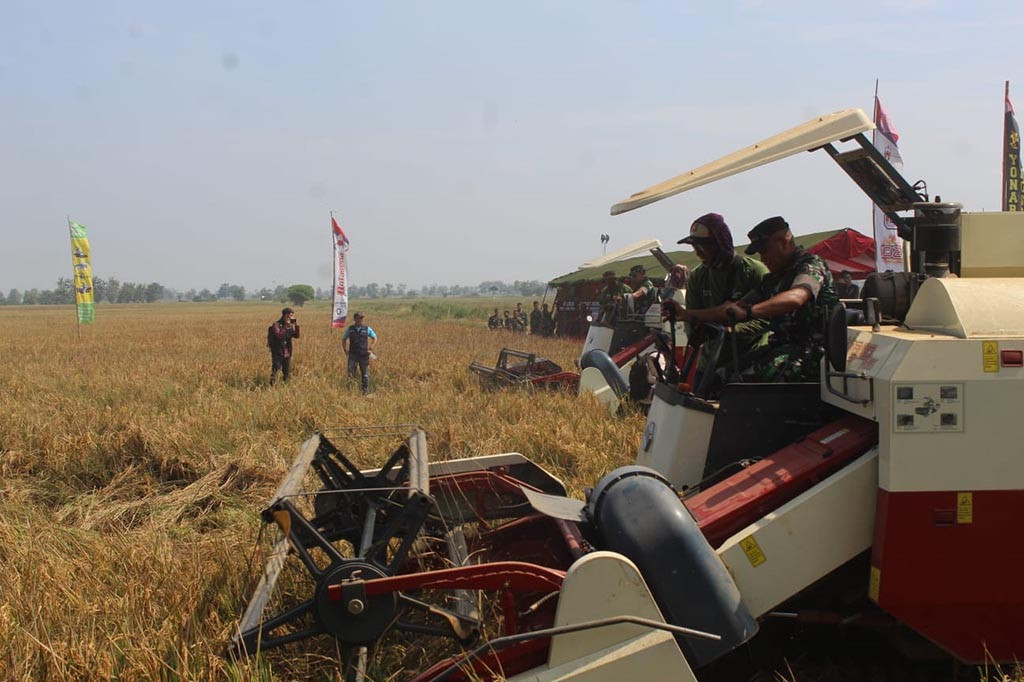 Panen raya padi ini merupakan wujud nyata dari prajurit TNI AD dalam mengelola lahan-lahan pertanian di wilayah. Jajaran TNI AD bekerja sama dengan seluruh stakeholder di wilayah Kabupaten Subang, Jawa Barat, untuk mensukseskan program pemerintah dalam mengantisipasi terjadinya krisis pangan.