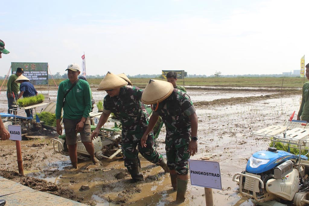KSAD Jenderal TNI Jenderal TNI Maruli Simanjuntak menegaskan untuk tahap pertama areal yang dilakukan panen raya seluas 30 hektare, akan ditindak lanjuti dengan penanaman kembali di areal sawah seluas 150 hektare.