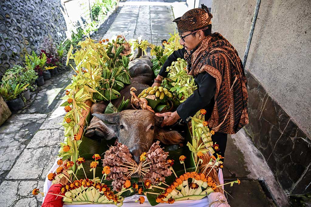 Warga suku Tengger menyiapkan sesaji berupa kepala kerbau, hasil bumi, dan makanan saat mengikuti tradisi Ritual Unan-Unan di Desa Wonoroto, Sukapura, Probolinggo, Jawa Timur, Selasa, 23 April 2024.