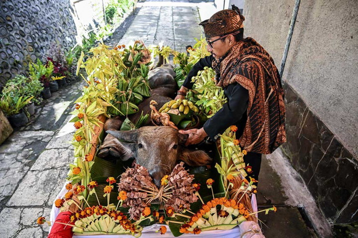 Warga suku Tengger menyiapkan sesaji berupa kepala kerbau, hasil bumi, dan makanan saat mengikuti tradisi Ritual Unan-Unan di Desa Wonoroto, Sukapura, Probolinggo, Jawa Timur, Selasa, 23 April 2024.